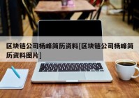 区块链公司杨峰简历资料[区块链公司杨峰简历资料图片]